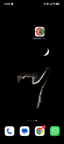 WhatsApp Image 2026-03-13 at 12.00.43 (1)