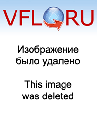16536622.png