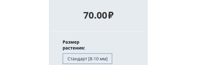 Безымянный